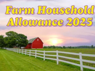 Farm Household Allowance 2025