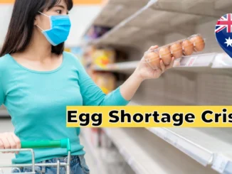 Egg Shortage Crisis Hits Australia: Why Supermarket Shelves Are Empty & Where to Find Supplies