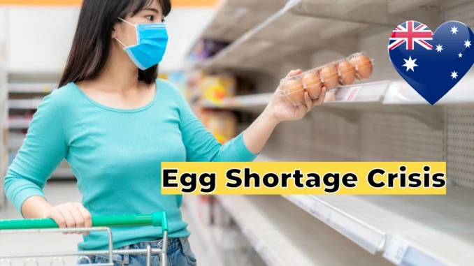 Egg Shortage Crisis Hits Australia: Why Supermarket Shelves Are Empty & Where to Find Supplies