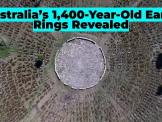 Secrets of Australia’s 1,400-Year-Old Earth Rings