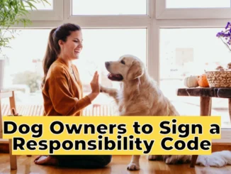 Dog Owners to Sign a Responsibility Code