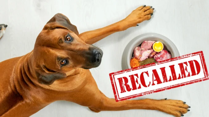 Dangerous Dog Treats Recall: FDA Warns of Salmonella Risk in 19 States