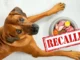 Dangerous Dog Treats Recall: FDA Warns of Salmonella Risk in 19 States