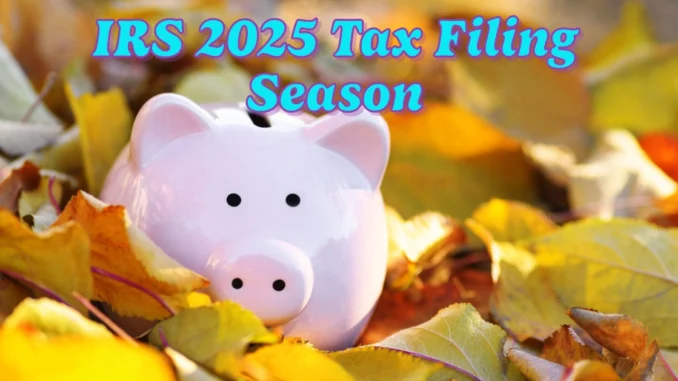 IRS 2025 Tax Filing Season