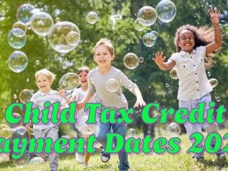 Child Tax Credit Payment Dates 2025