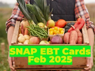 SNAP EBT Cards