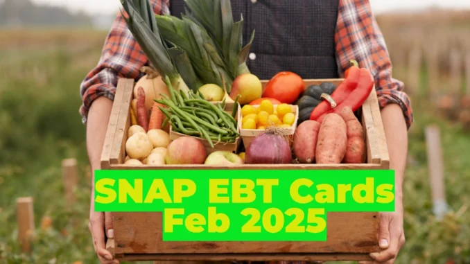 SNAP EBT Cards