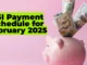 SSI Payment Schedule for February 2025