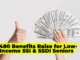 $480 Benefits Raise for Low-Income SSI & SSDI Seniors