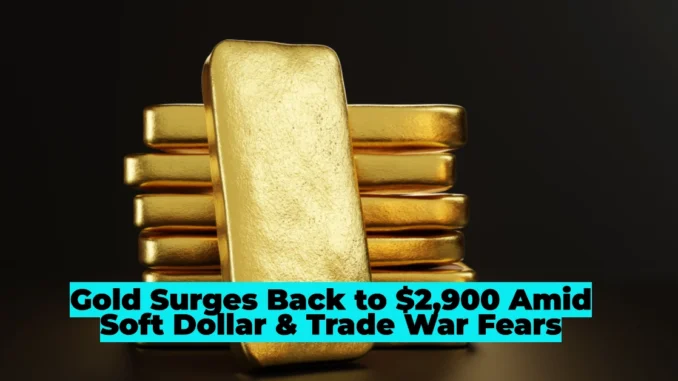 Gold Surges Back to $2,900 Amid Soft Dollar & Trade War Fears