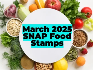 March 2025 SNAP Food Stamps: First $292 Payments Dispatched – State-by-State Schedule