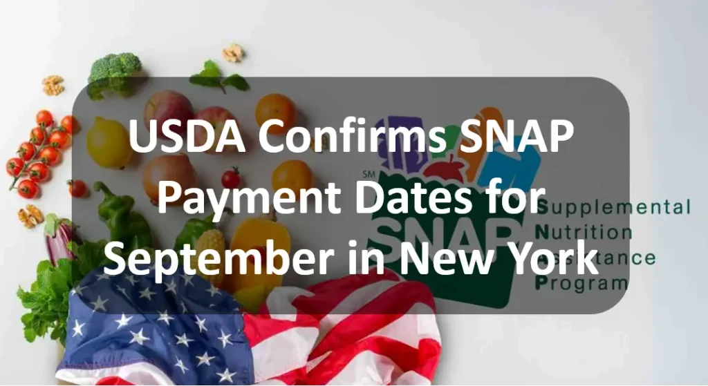 SNAP New York: 6 Paydays Left in September with Food Stamps Checks Up to $1,751