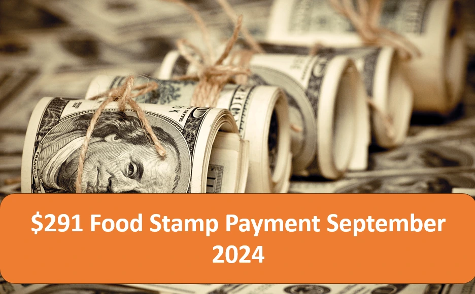 $291 Food Stamp Payment September 2024: What You Need to Know