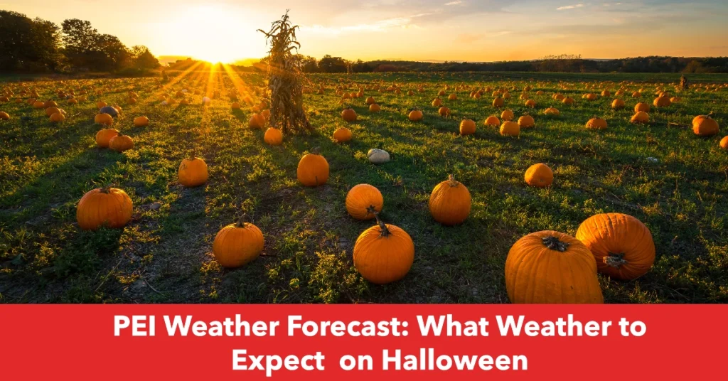 PEI Weather Forecast: What Weather to Expect  on Halloween