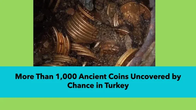 More Than 1,000 Ancient Coins Uncovered by Chance in Turkey