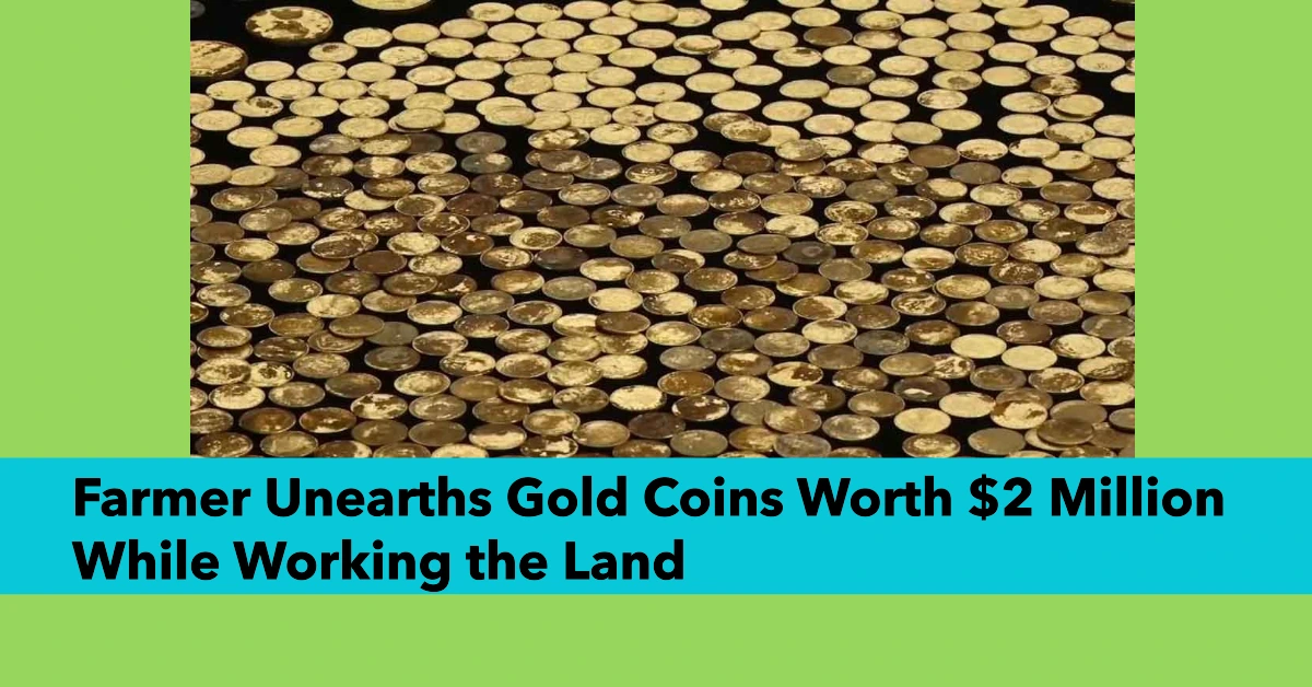 Farmer Unearths Gold Coins Worth $2 Million While Working the Land