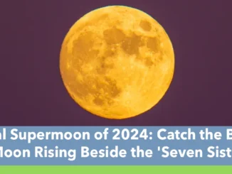 Final Supermoon of 2024: Catch the Beaver Moon Rising Beside the 'Seven Sisters'