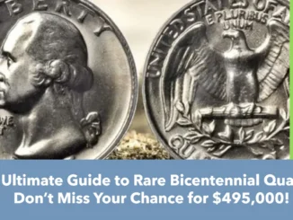 https://www.soscip.org/the-ultimate-guide-to-rare-bicentennial-quarters/