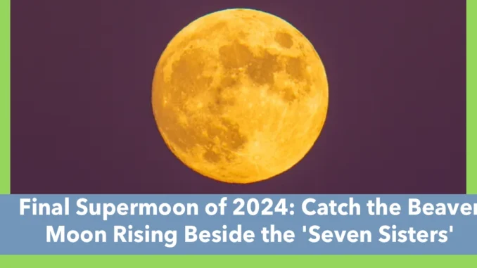 Final Supermoon of 2024: Catch the Beaver Moon Rising Beside the 'Seven Sisters'