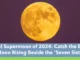 Final Supermoon of 2024: Catch the Beaver Moon Rising Beside the 'Seven Sisters'