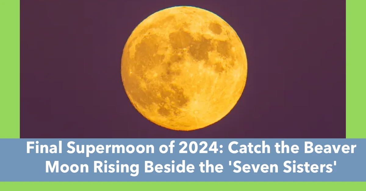 Final Supermoon Of 2024 Catch The Beaver Moon Rising Beside The 'Seven Sisters'