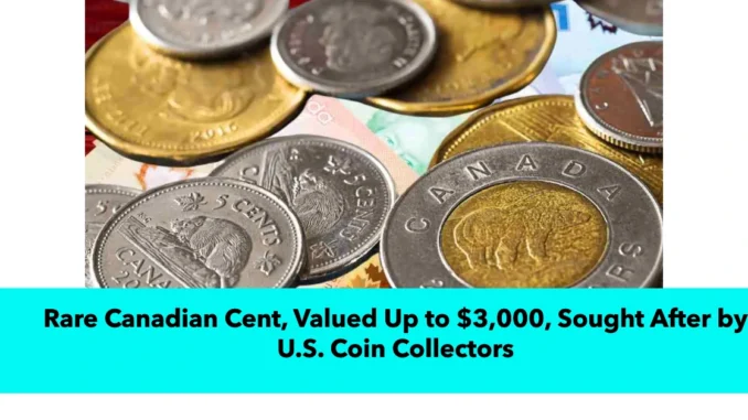 Rare Canadian Cent, Valued Up to $3,000, Sought After by U.S. Coin Collectors