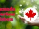 Canada Carbon Rebate Payment Dates 2025: Eligibility and Key Updates