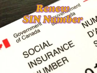 How to Easily Renew and Update Your SIN Number in Canada