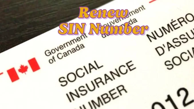 How to Easily Renew and Update Your SIN Number in Canada