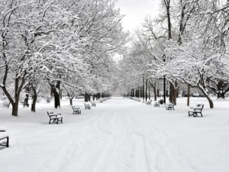 Winter Blast Hits Southern Ontario: Snowfall, High Winds, and Deep Freeze Warnings on this Weekend