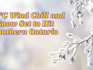 -26°C Wind Chill and Snow Set to Hit Southern Ontario