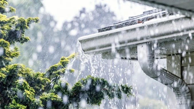 Double Weather Alerts for Toronto and Southern Ontario: Rainfall and Fog Warnings in Effect