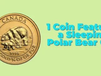 Canada’s Adorable 2025 $1 Coin Features a Sleeping Polar Bear Cub – A Collector’s Dream!