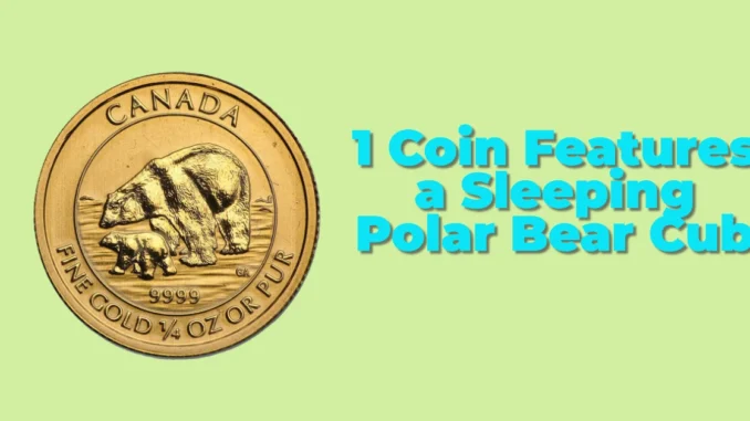 Canada’s Adorable 2025 $1 Coin Features a Sleeping Polar Bear Cub – A Collector’s Dream!