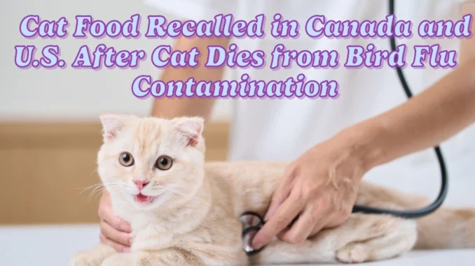 Cat Food Recalled in Canada and U.S. After Cat Dies from Bird Flu Contamination