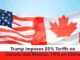 Trump Imposes 25% Tariffs on Canada and Mexico, 10% on China—Escalating Trade War to Curb Migration and Fentanyl Flow