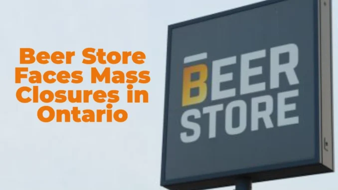 The Last Call? The Beer Store Faces Mass Closures as Ontario’s Alcohol Market Transforms