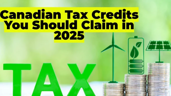 Canadian Tax Credits You Should Claim in 2025