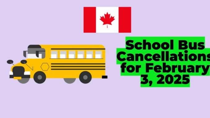 Southern Ontario School Bus Cancellations for February 3, 2025: Fog Disrupts Transportation in Multiple Regions