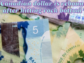 Great news the Canadian dollar is rebounding after hitting rock bottom and here's why.