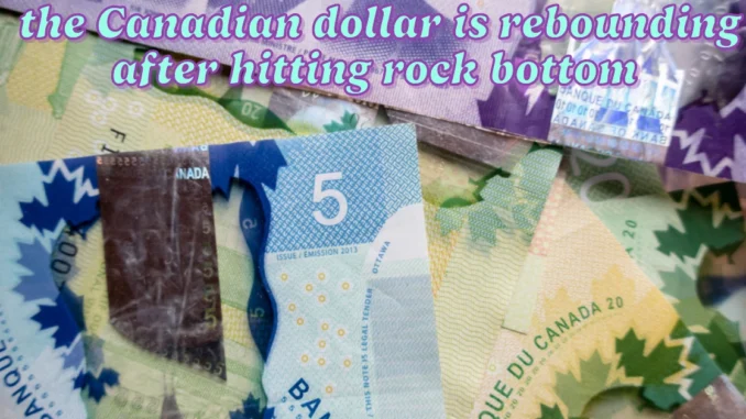 Great news the Canadian dollar is rebounding after hitting rock bottom and here's why.