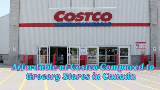 27 Items That Are More Affordable at Costco Compared to Grocery Stores in Canada