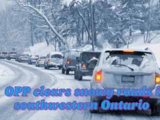 Thousands shovel out as OPP clears snowy roads in southwestern Ontario