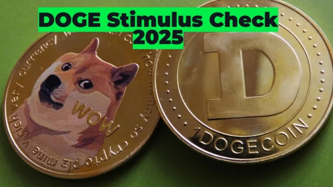 DOGE Stimulus Check 2025