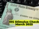 IRS Stimulus Check 2025: How to Claim Your $1,400 IRS Payment Before the Deadline