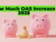 OAS Increase 2025: How Much More Will Seniors Get in Their Payments This Year?