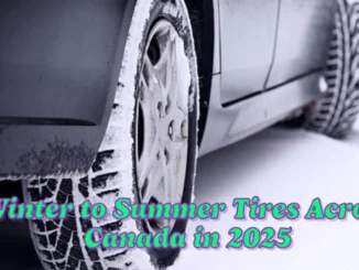 Guide to Switching from Winter to Summer Tires Across Canada in 2025