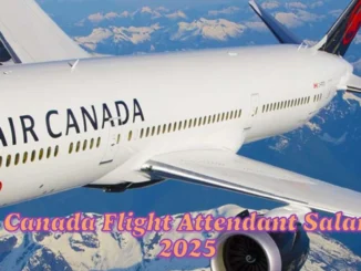 Air Canada Flight Attendant Salary in 2025 What to Expect