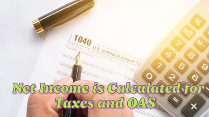 How Your Net Income is Calculated for Taxes and OAS